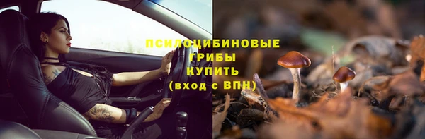 скорость Верхний Тагил